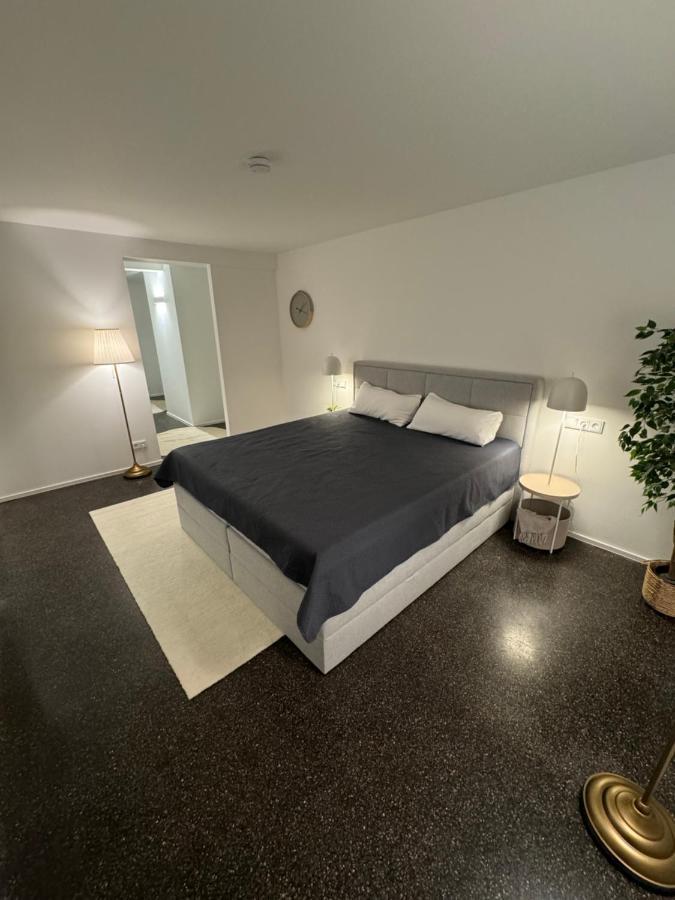 Isaak Appartment Stadtjuwel Waldshut-Tiengen Exterior photo